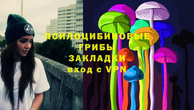 OMG ТОР  Маркс  Псилоцибиновые грибы Magic Shrooms 